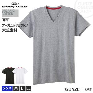 グンゼ Vネック Tシャツ メンズ 年間 ボディワイルド Vネック 綿100%オーガニックコットン GUNZE BODY WILD BWL215A M-LL