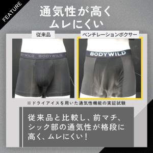 グンゼ BODY WILD ボクサーパンツ メ...の詳細画像3