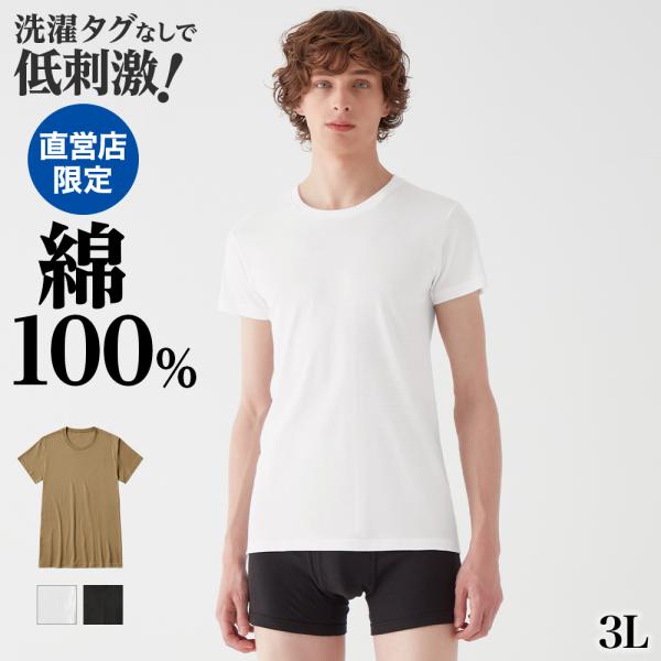 グンゼ theGUNZE 直営店限定 綿100% クルーネックＴシャツ メンズ インナーシャツ 半袖...