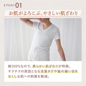 グンゼ theGUNZE 直営店限定 綿100...の詳細画像5