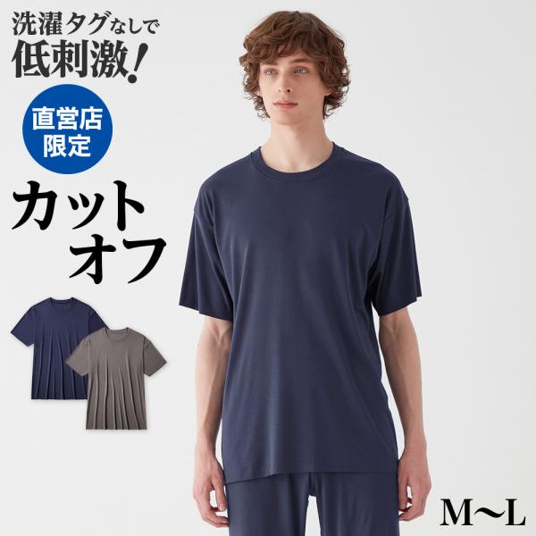 グンゼ GUNZE Ｔシャツ 半袖 インナー メンズ 丸首 クルーネック  消臭 肌着 下着 シンプ...