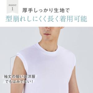 グンゼ GUNZE GTホーキンス 綿100%...の詳細画像2