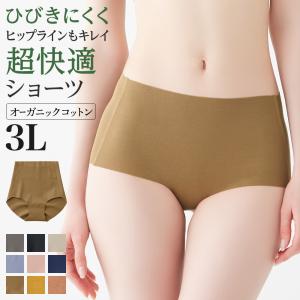 グンゼ GUNZE キレイラボ KIREILABO レギュラーショーツ レディース 3L 綿混 オーガニックコットン 通年 女性 下着 Fitte｜グンゼ公式ヤフー店