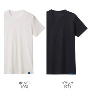 グンゼ クルーネック Tシャツ 男性下着 イン...の詳細画像1