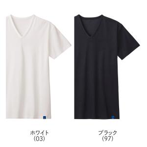 グンゼ Vネック インナー 男性 下着 肌着 ...の詳細画像1