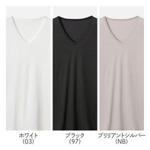 グンゼ アセドロン メンズ Vネック 鹿の子 ...の詳細画像1