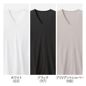 グンゼ アセドロン メンズ Vネック 鹿の子 ...の詳細画像1