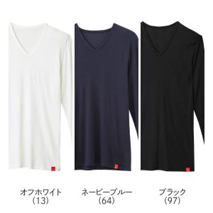 グンゼ インナー Vネック 男性 肌着 長袖 ...の詳細画像1