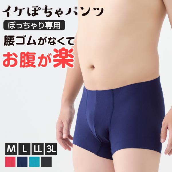 グンゼ ボクサーパンツ メンズ 前閉じ ぽっちゃり専用 GUNZE 3L 腰ゴムなし イケぽちゃパン...