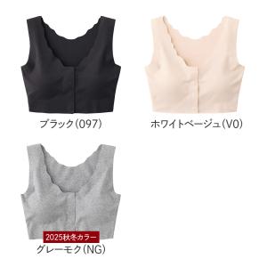 グンゼ 前あきブラ 前あきブラジャー 乳がんブ...の詳細画像1