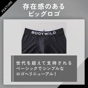 グンゼ ボクサーパンツ 3枚 セット 男性下着...の詳細画像3