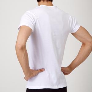 グンゼ YG 綿100% 半袖 Vネック 5枚...の詳細画像3