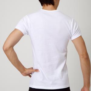 グンゼ YG 綿100% 半袖 Vネック 5枚...の詳細画像4