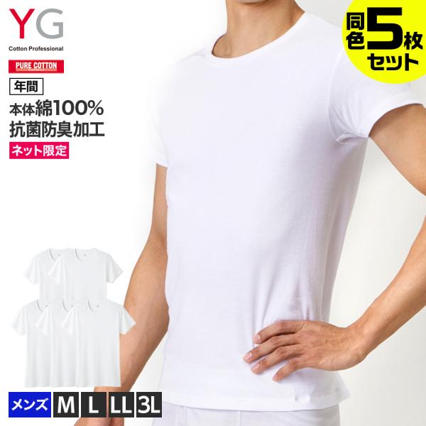 グンゼ GUNZE ワイジー YG 半袖 インナー メンズ クルーネックTシャツ まとめ買い割引 肌...