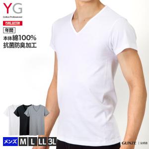 グンゼ 肌着 インナー VネックTシャツ メンズ 年間