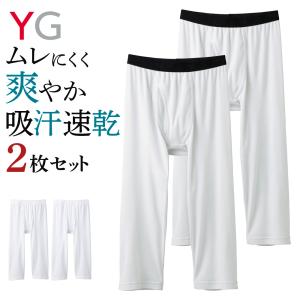 グンゼ ニーレングス セット 2枚組 メンズ 年間 吸汗