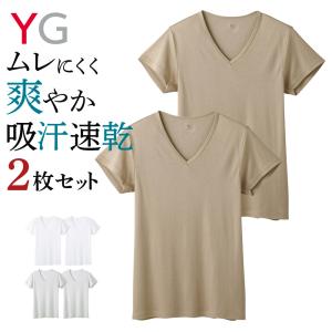 [19(火)迄限定] グンゼ 肌着 インナー メンズ Ｖ首