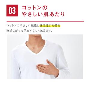 グンゼ YG インナー メンズ 肌着 綿100...の詳細画像5