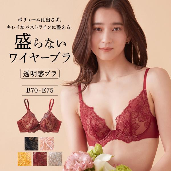 グンゼ ワイヤーブラジャー レディース レース 透明感ブラ ワイヤーブラ 盛らないブラ 小胸 ランジ...