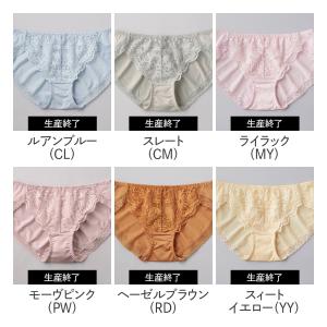 グンゼ ハーフショーツ レディース 年間 トゥ...の詳細画像1