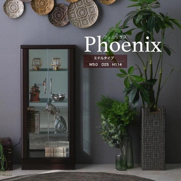 コレクションケース ミドルタイプ コレクションボード コレクションラック ガラス棚 ガラスショーケー...