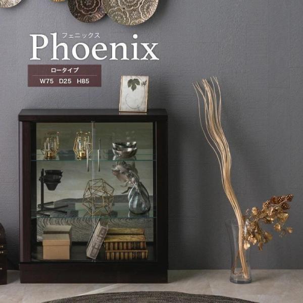 コレクションケース ロータイプ コレクションボード コレクションラック ガラス棚 ガラスショーケース...