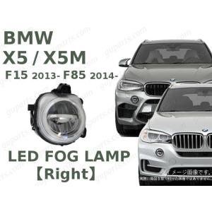 BMW X5 F15 '13-/ X5M F85 '14- 右 LED フォグ ランプ 63177317252 xDrive 35i xDrive 35d xDrive 40e KR30 KR30S KS30 KS30S KT20 KT44｜guparts