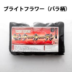 ポータブル温冷庫 【車載用温冷蔵庫】COLDKING(コールドキング) 12L AC