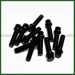 ブラックボルト 10本セット 14R M14-...の詳細画像3