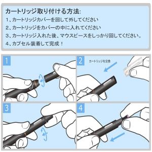 プルームテックプラス用カートリッジ リキッド入...の詳細画像1