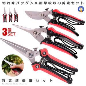 剪定ばさみ 3本セット プロ 200mm 剪定鋏 はさみ ハサミ 園芸用 ガーデニング 切れ味 枝 太い枝 植物 GARDSCISET｜guru-guru-com