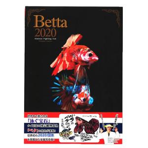 【書籍】ファンタジーワールド 豪華ベタ写真集「B...の商品画像