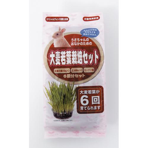 アラタ うさちゃん用 大麦若葉栽培セット 6回分【ネコポス不可】