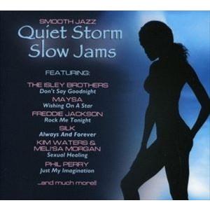 輸入盤 VARIOUS / QUIET STORM SLOW JAMS [CD]