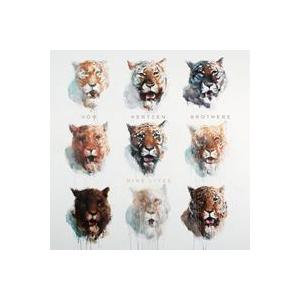 輸入盤 VON HERTZEN BROTHERS / NINE LIVES （LTD） [CD]｜guruguru