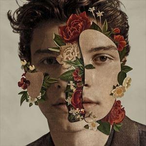 shawn mendes lost in japan