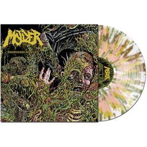 輸入盤 MOLDER / ENGROSSED IN DECAY （COLORED） [LP]