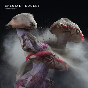 輸入盤 SPECIAL REQUEST / FABRICLIVE 91 [CD]