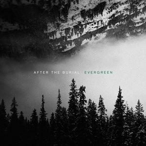 輸入盤 AFTER THE BURIAL / EVERGREEN [LP]