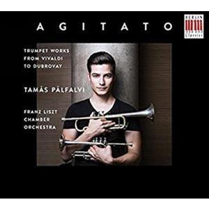 輸入盤 TAMAS PALFALVI / AGITATO [CD]