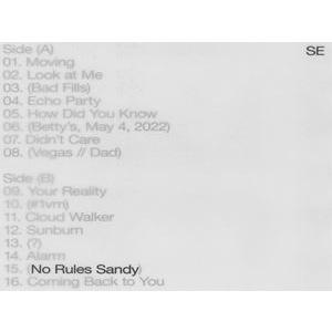 輸入盤 SYLVAN ESSO / NO RULES SANDY [LP]