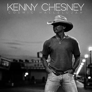 輸入盤 KENNY CHESNEY / SOME TOWN SOMEWHERE [CD]｜guruguru