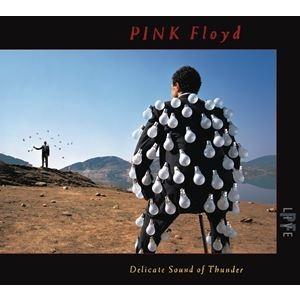 輸入盤 PINK FLOYD / DELICATE SOUND OF THUNDER （LIVE） ...