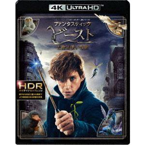 ファンタスティック・ビーストと魔法使いの旅＜4K ULTRA HD＆2D ブルーレイセット＞ [Ultra HD Blu-ray]｜guruguru
