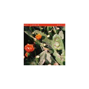輸入盤 SKY LARKIN / MOTTO （DIGI） [CD]