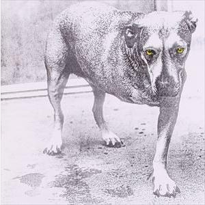 輸入盤 ALICE IN CHAINS / ALICE IN CHAINS [CD]