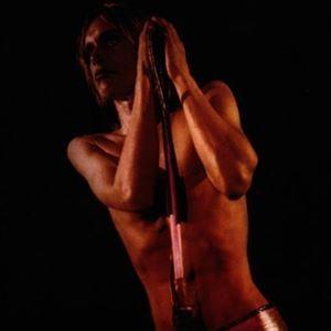 輸入盤 IGGY ＆ THE STOOGES / RAW POWER [CD]
