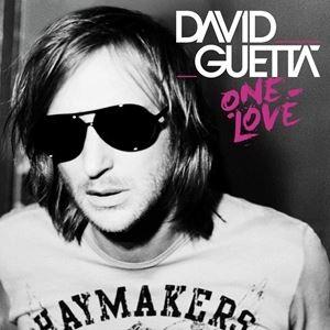 輸入盤 DAVID GUETTA / ONE LOVE [2LP]｜guruguru