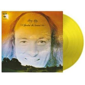 輸入盤 TERRY RILEY / RAINBOW IN CURVED AIR （TRANSLUCE...