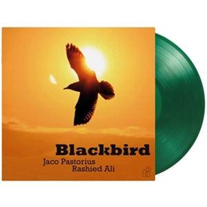 輸入盤 JACO PASTORIUS ＆ RASHIED ALI / BLACKBIRD （TRAN...